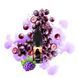 Набір Phantom 10 мл 50 мг Grape 2324 фото