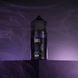 Набір Сhaser Black 30 мл 65 мг Grape blackberry 3318 фото